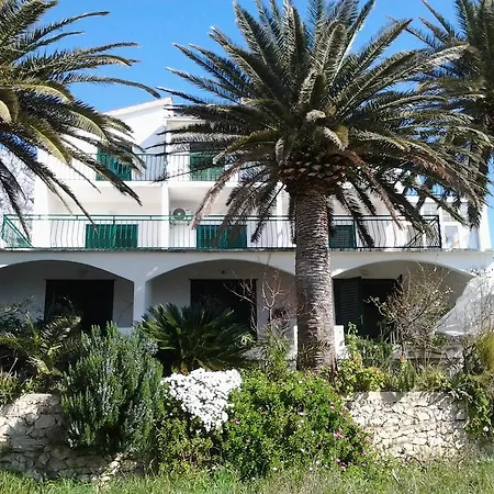 Apartman Bratus Promajna