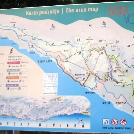 Bratus Promajna